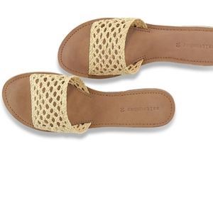 Salt and Umber Slides